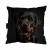 poduszka rottweilier zdj 1.jpg