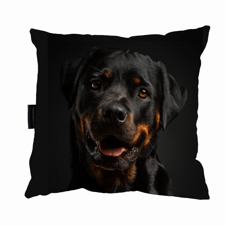 poduszka rottweilier zdj 1.jpg