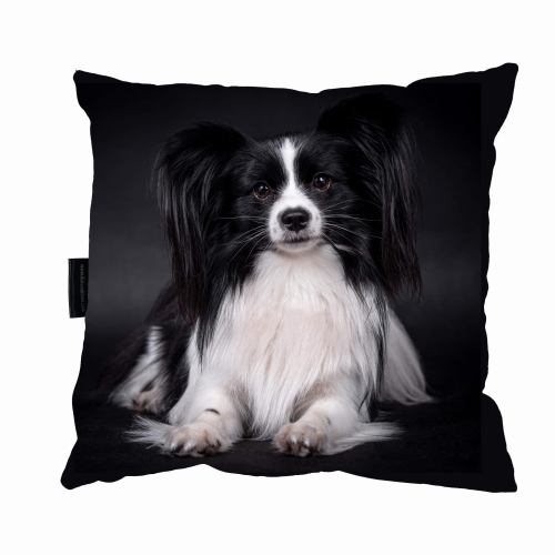 poduszka papilion czarny zdj 1.jpg