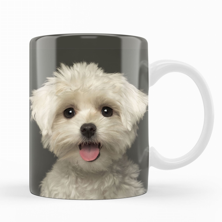 kubek maltańczyk zdj 1 al.jpg