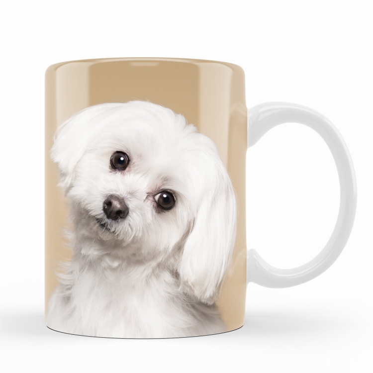 kubek maltańczyk beż zdj 2.jpg