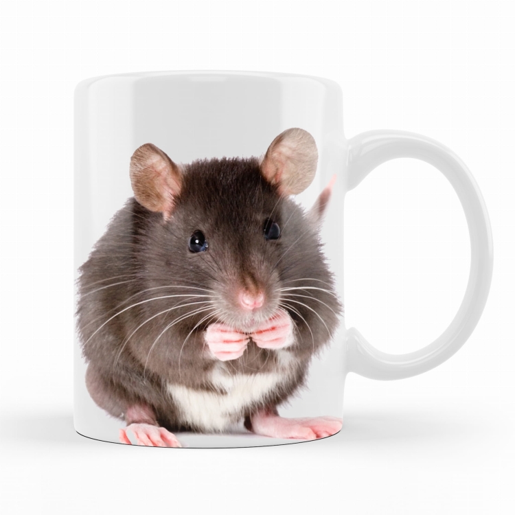 kubek szczur zdj.jpg