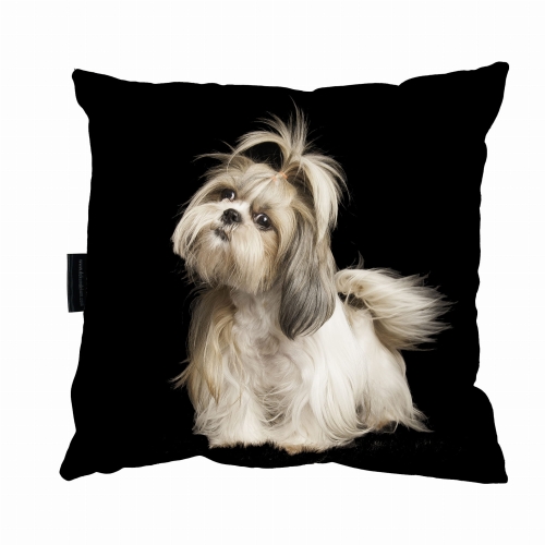 poduszka shitzu 1 zdj.jpg