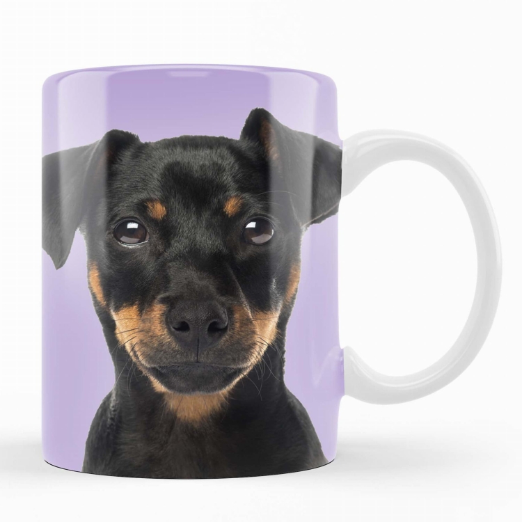 kubek pinczer zdj 1.jpg