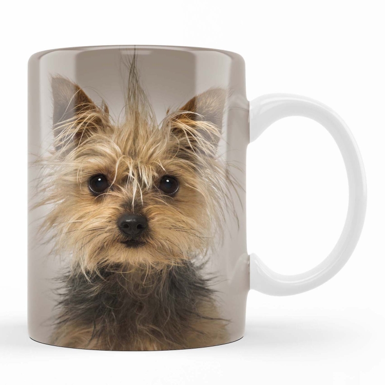 kubek york zdj 2 beż.jpg