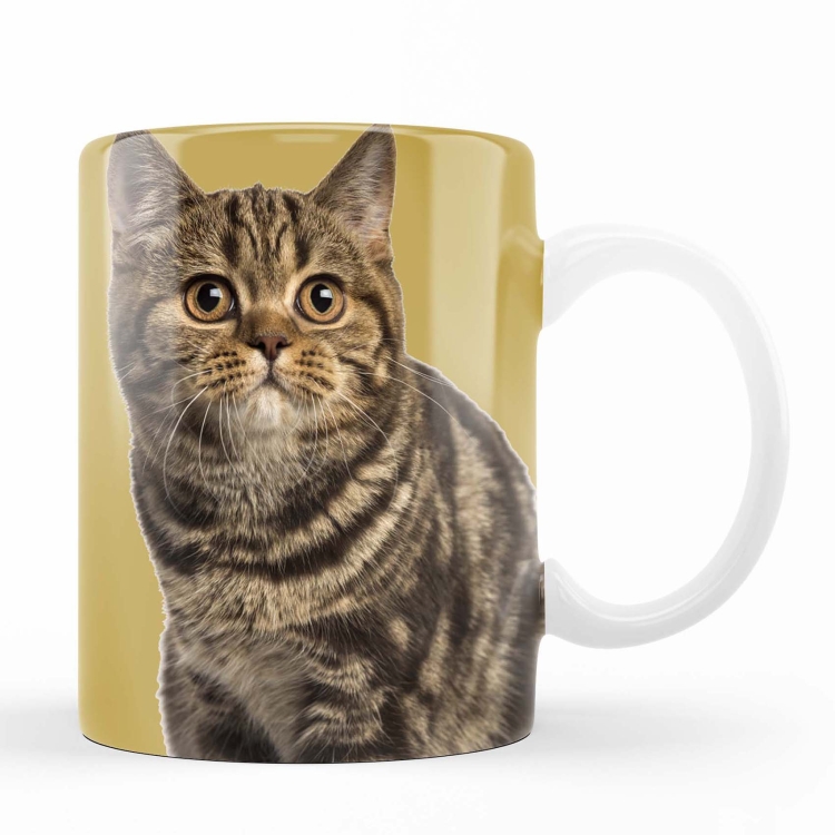 kubek kot dachowiec zdj 1.jpg