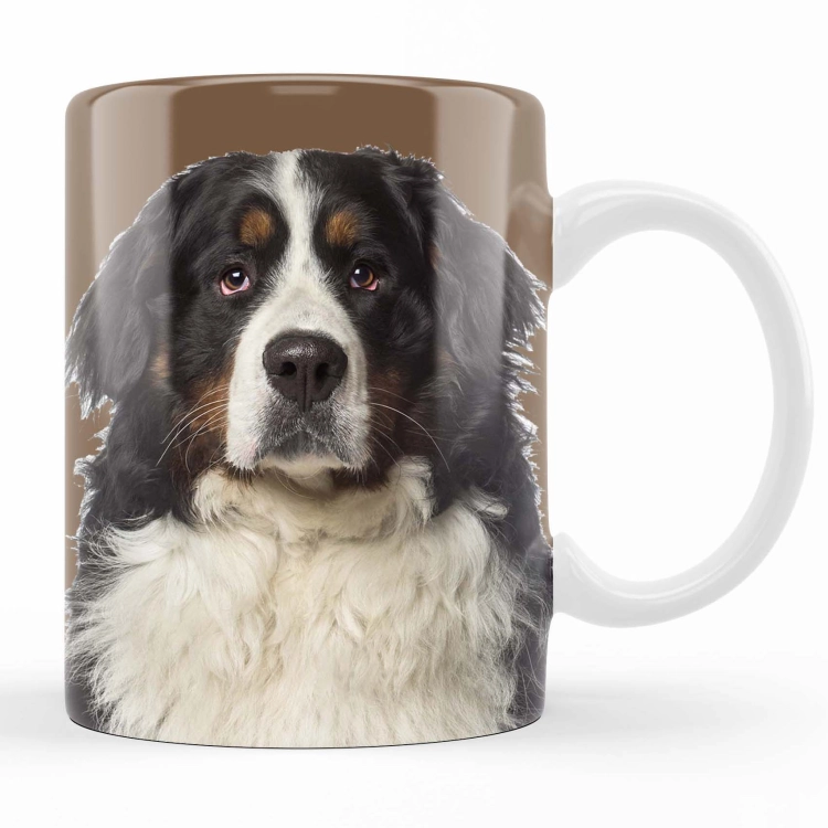 kubek berneńczyk zdj 2.jpg