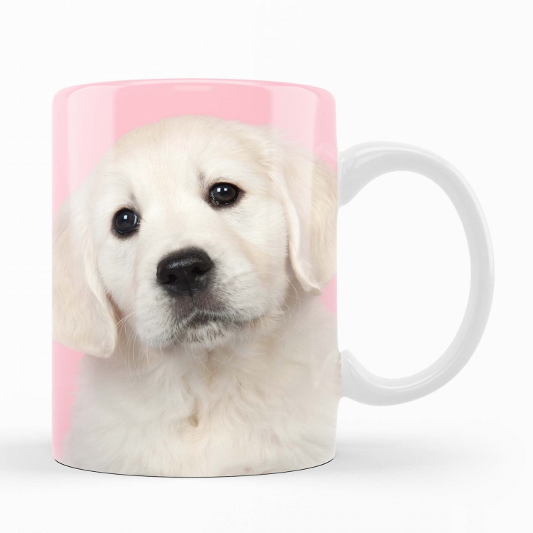 kubek labrador biszkoptowy zdj 1.jpg