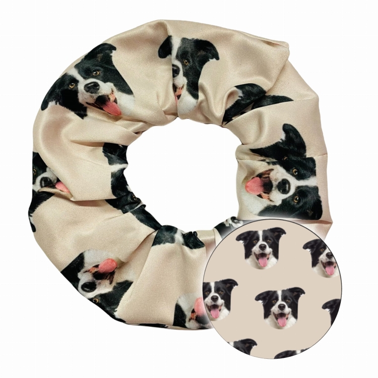 scrunchie border collie zdj .jpg