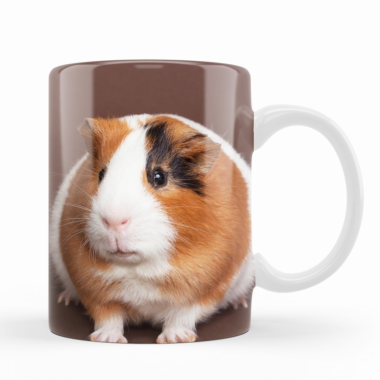 kubek świnka morska al.jpg