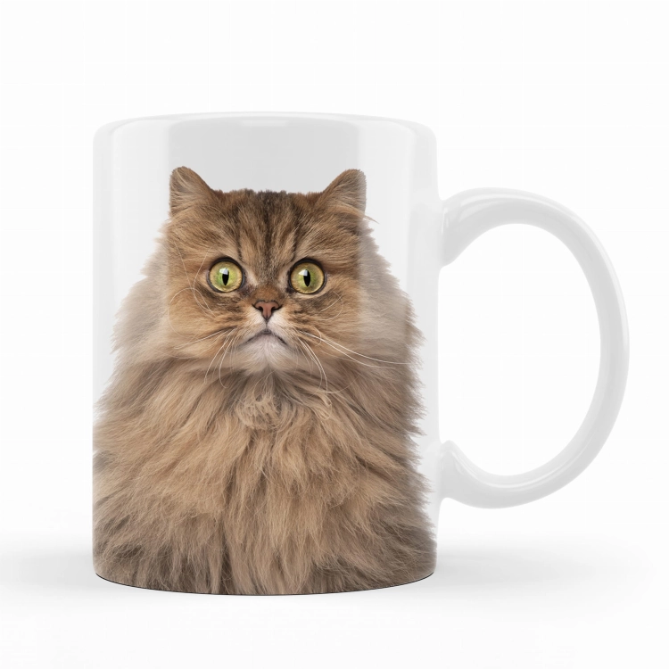 kubek kot brytyjski długowłosy al.jpg