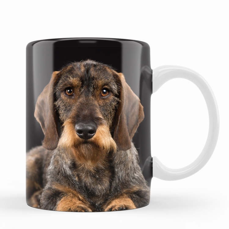 kubek jamnik szorstki al.jpg