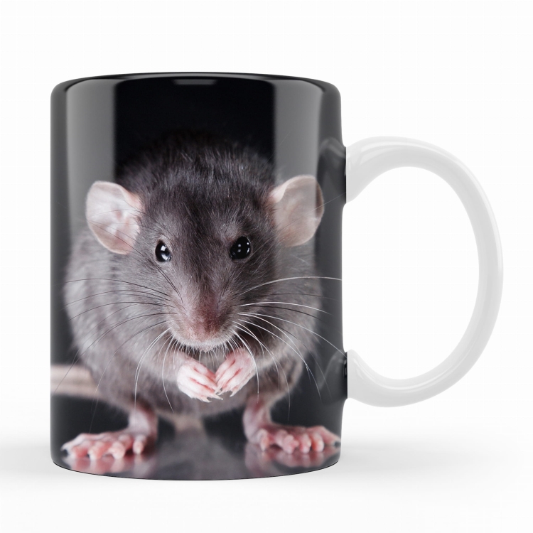 kubek szczur al.jpg