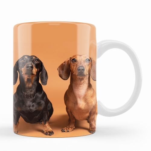 kubek jamniki al.jpg