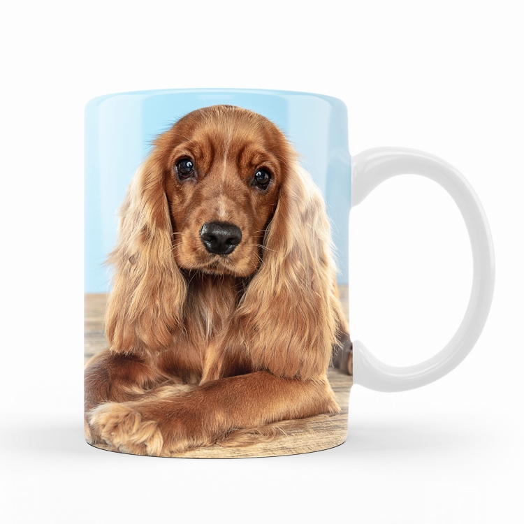 kubek cocker spaniel al.jpg