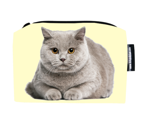 Zrzut ekranu 2022-05-6 o 10.09.42.png