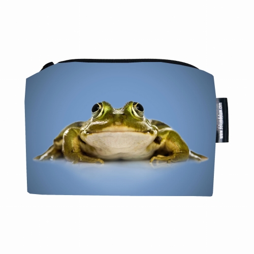 kosmetyczka z żabą 2.jpg