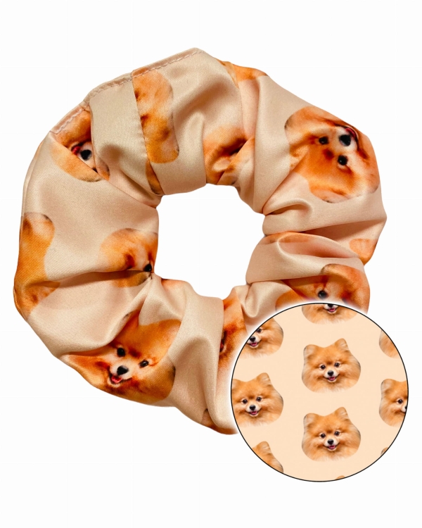 scrunchie pomeranian 2.jpg