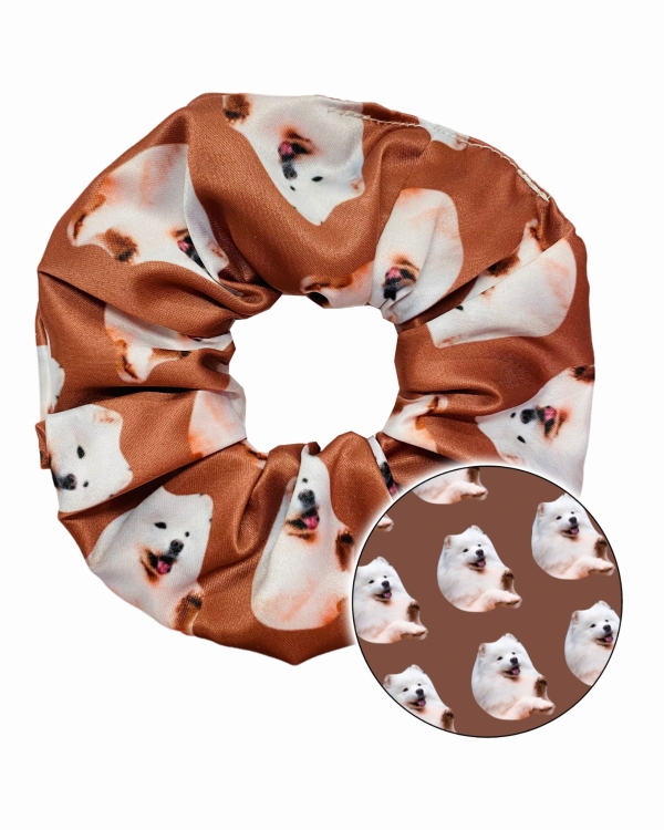 scrunchie samoyed zdj .jpg