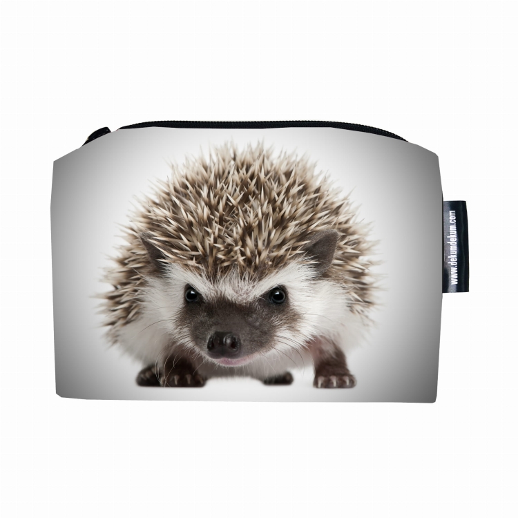 kosmetyczka z jeżem.jpg