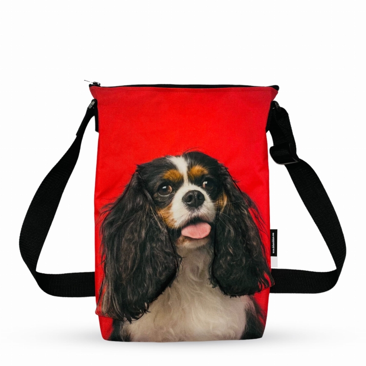 minishopper spanielcavalier.jpg