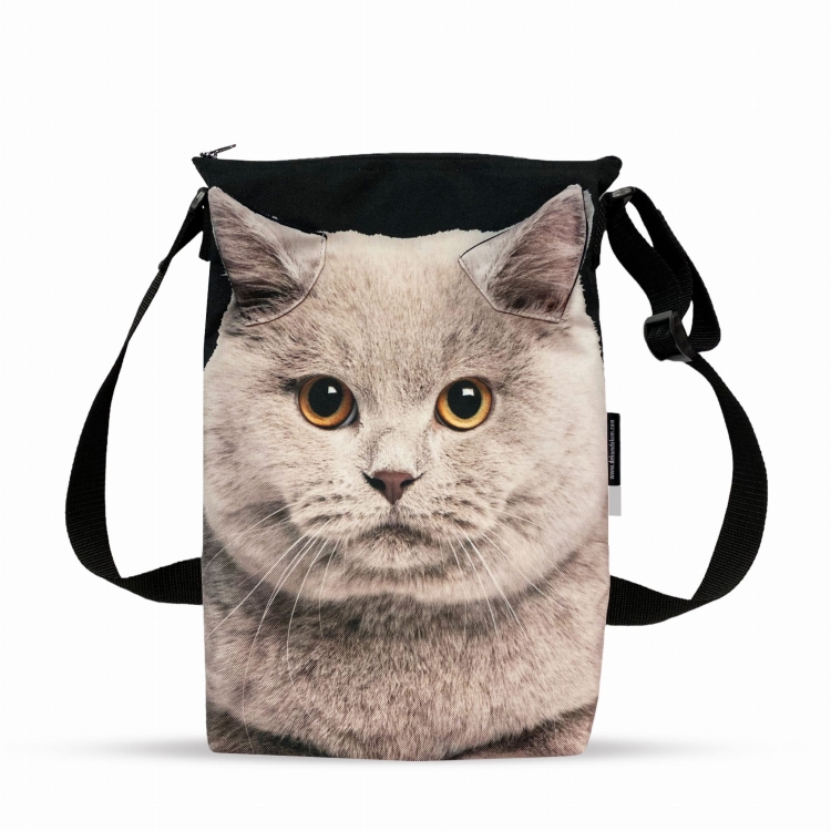 minishopper kot brytyjski.jpg