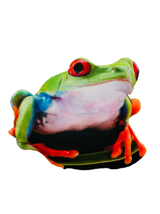 poduszka 3d żaba.PNG