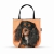 torba cavalier spaniel 3d pomarańcz.jpg