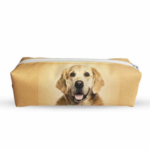 piórnik golden retriver 1.jpg