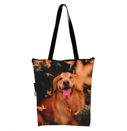 Zrzut ekranu 2022-07-29 o 11.01.27.png