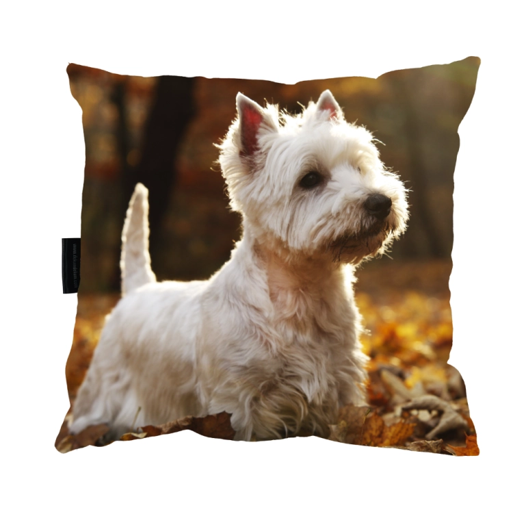 Zrzut ekranu 2022-09-8 o 14.27.59.png