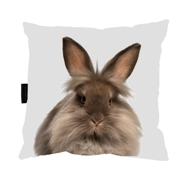 Zrzut ekranu 2022-09-8 o 14.34.29.png