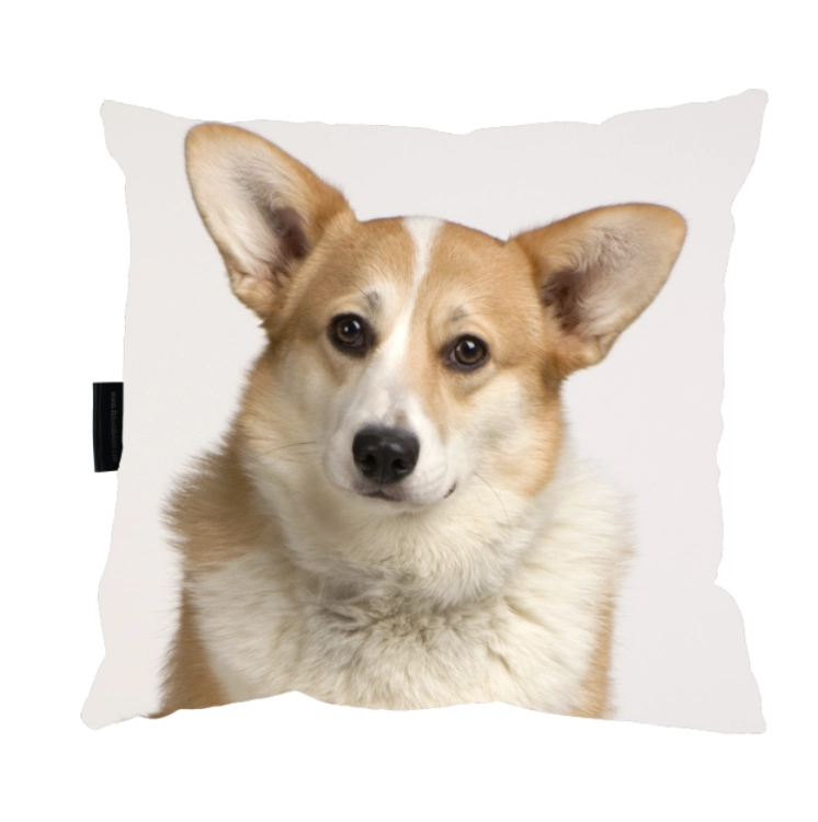 Zrzut ekranu 2022-09-9 o 11.56.56.png