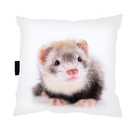 Zrzut ekranu 2022-09-16 o 11.25.01.png