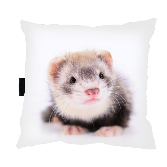 Zrzut ekranu 2022-09-16 o 11.25.01.png