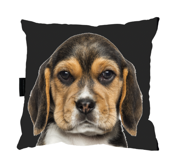 Zrzut ekranu 2022-09-16 o 11.30.37.png