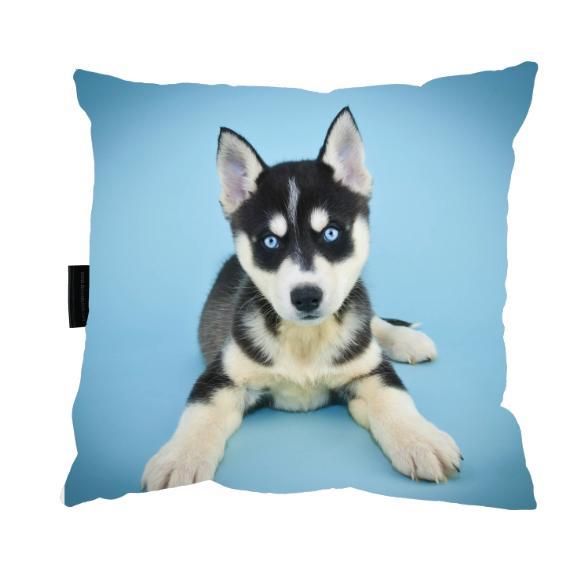 Zrzut ekranu 2022-09-16 o 11.25.41.png