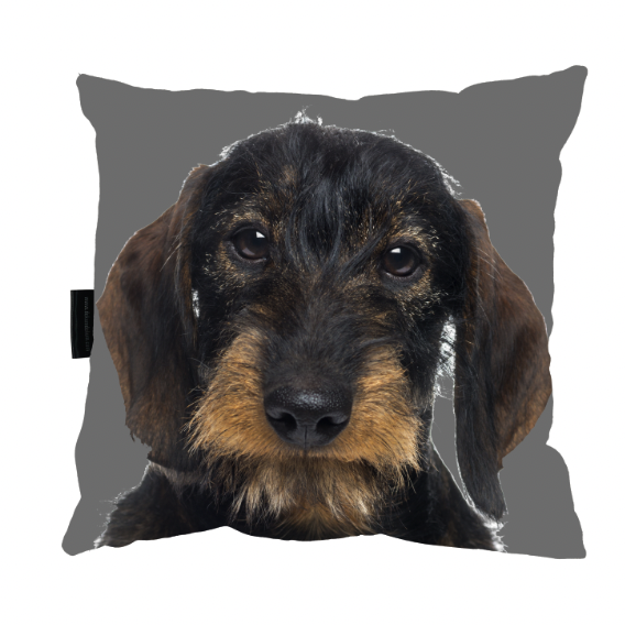 Zrzut ekranu 2022-09-16 o 11.20.56.png