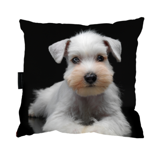 Zrzut ekranu 2022-09-16 o 11.23.18.png