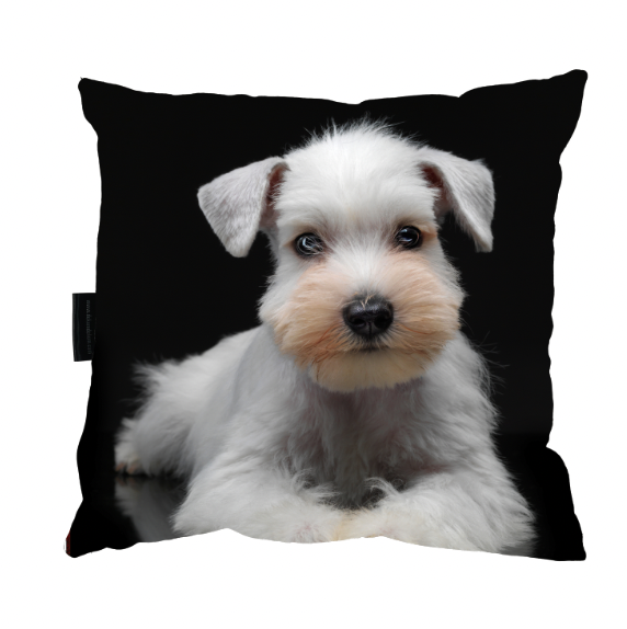 Zrzut ekranu 2022-09-16 o 11.23.18.png