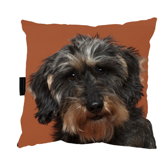 Zrzut ekranu 2022-09-16 o 11.31.10.png