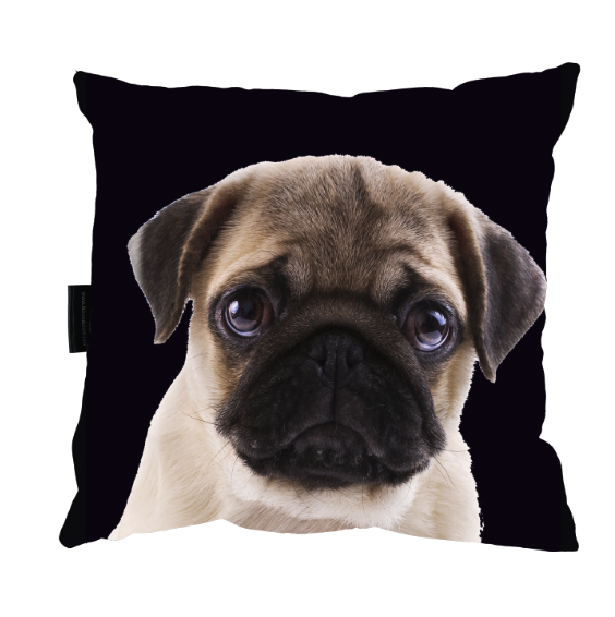 Zrzut ekranu 2022-09-16 o 11.32.07.png