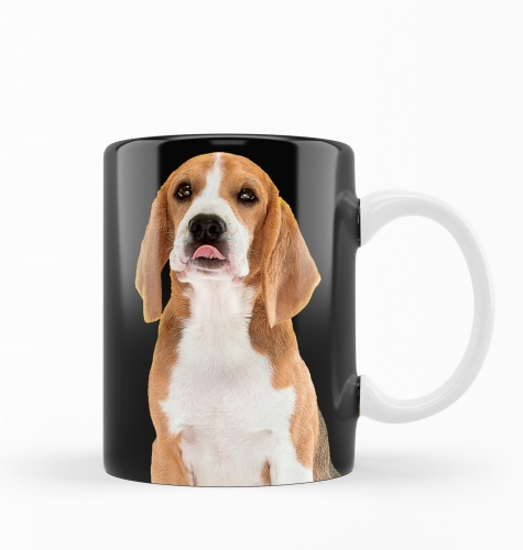 kubek beagle zdj.jpg