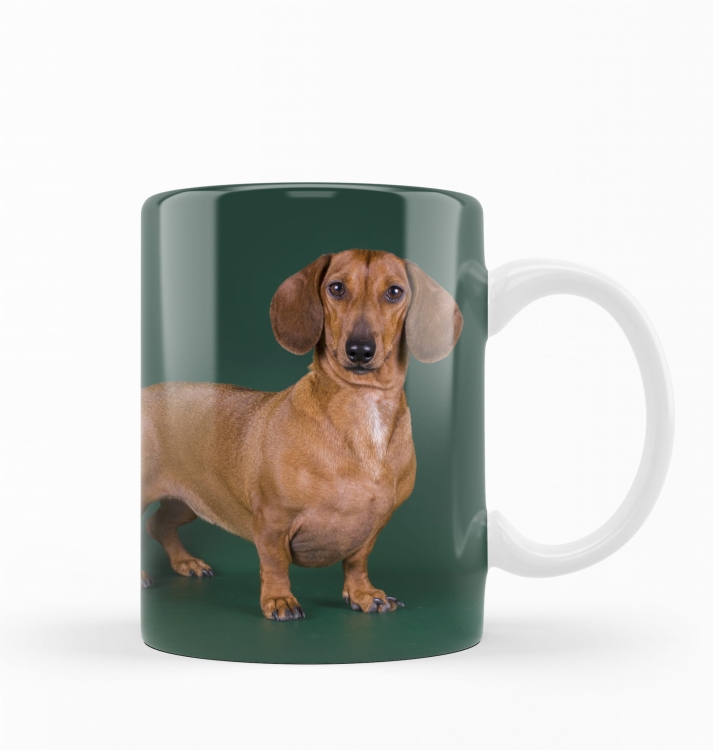 kubek jamnik brązowy na zielonym tle.jpg