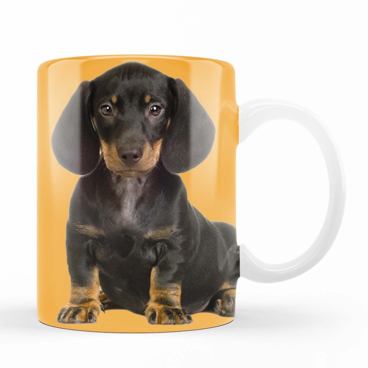 kubek jamnik czarny zdj 2-kopia.jpg