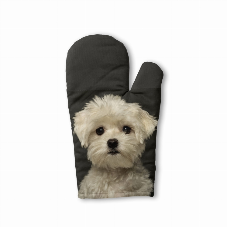 rękawica kuchenna maltańczyk ciemny zdj.jpg