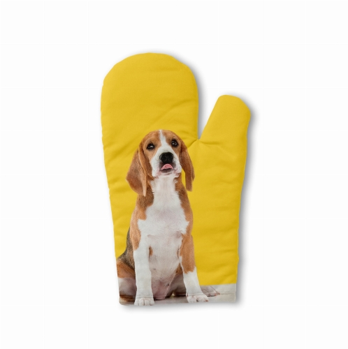 rękawica beagle żółta .jpg