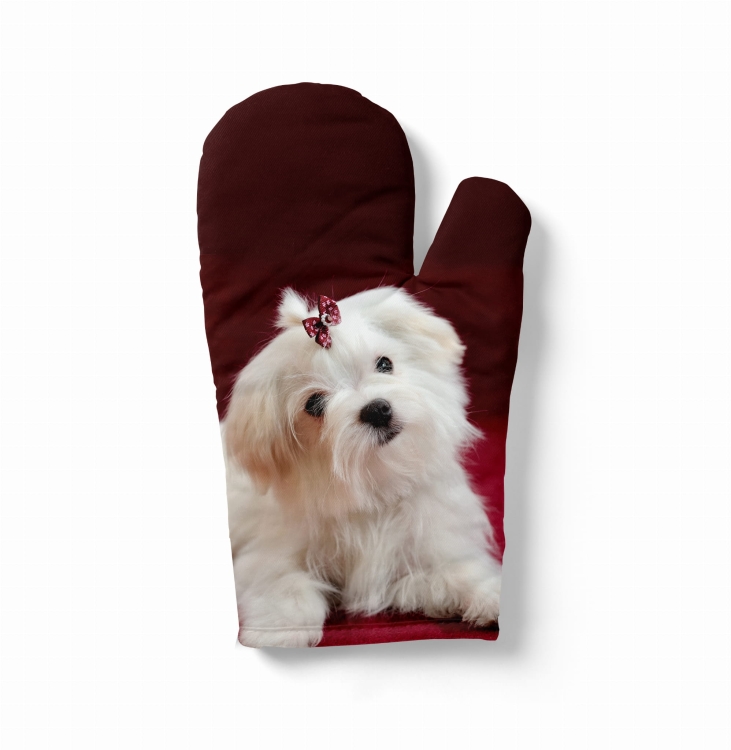 rękawica maltańczyk bordo.jpg