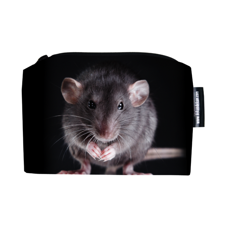 Zrzut ekranu 2022-10-19 o 09.25.24.png