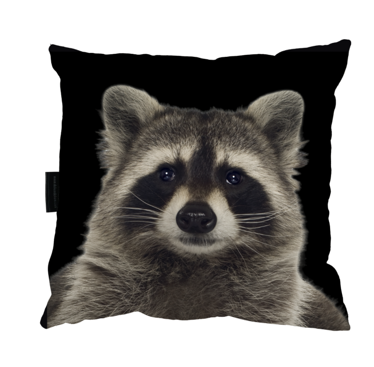 Zrzut ekranu 2022-12-27 o 10.57.17.png